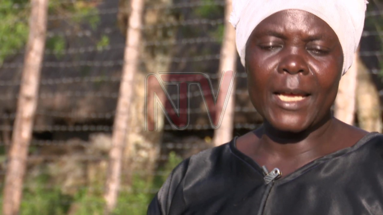 NTV PANORAMA: Mercury posing health, environmental dangers for communities