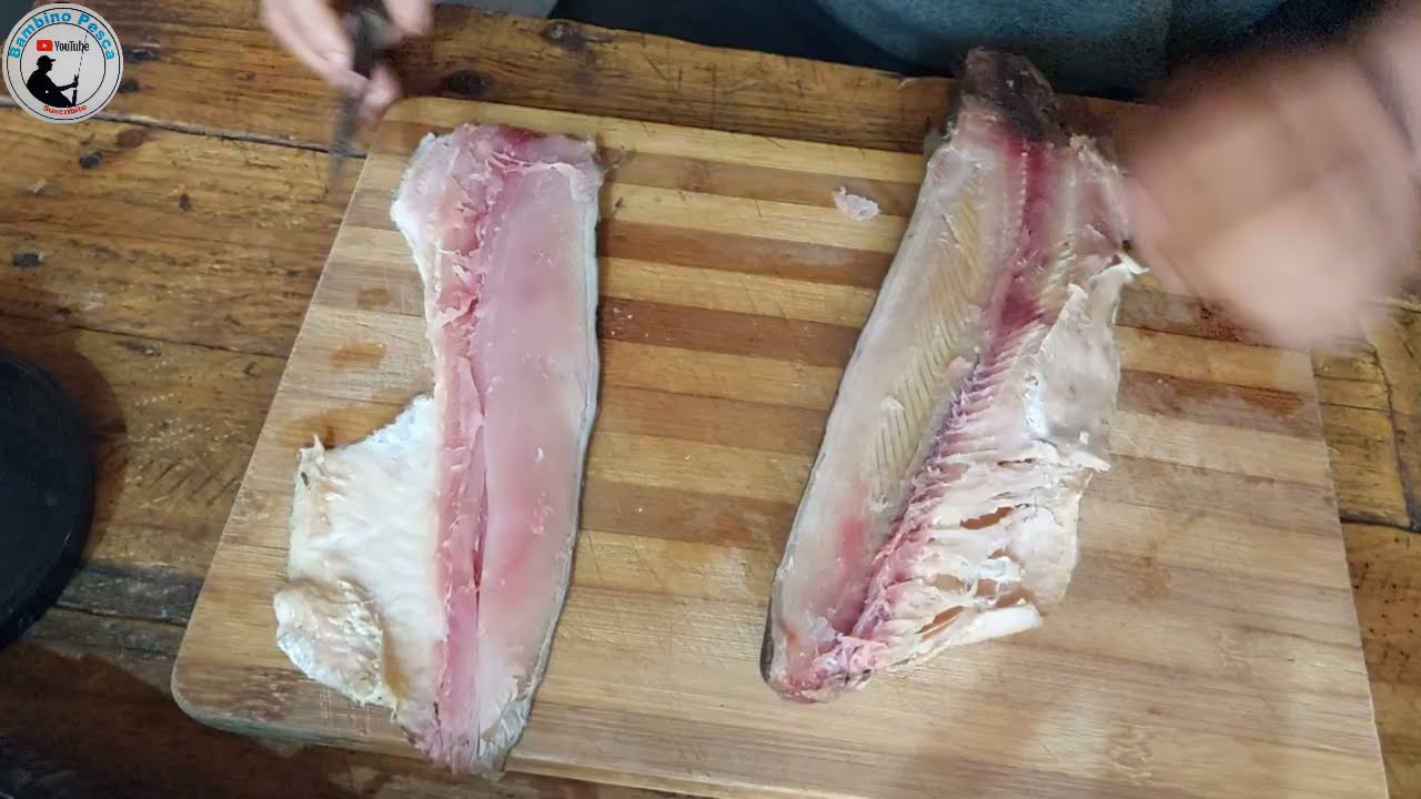 como preparar ceba casera para pejerrey. intentos de pesca
