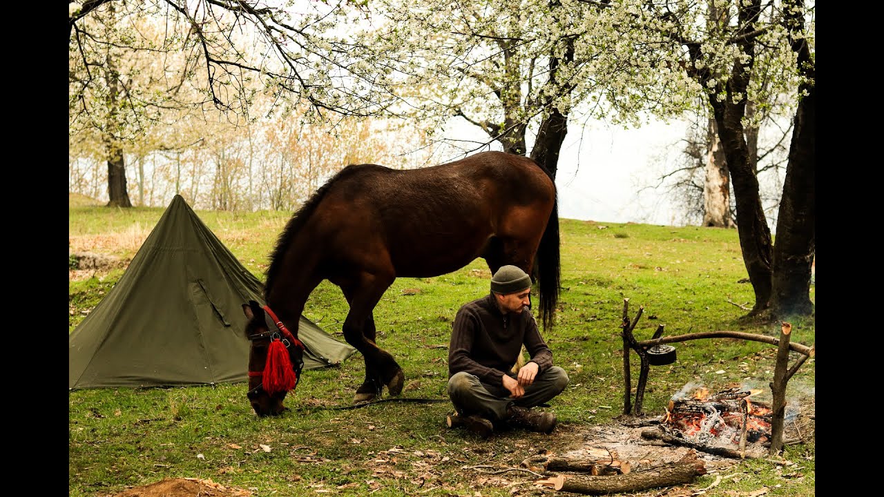 Bushcraft Solo Overnight : Horse riding in the forest - Canvas Lavvu Shelter - Wild Cooking ( 2021 )
