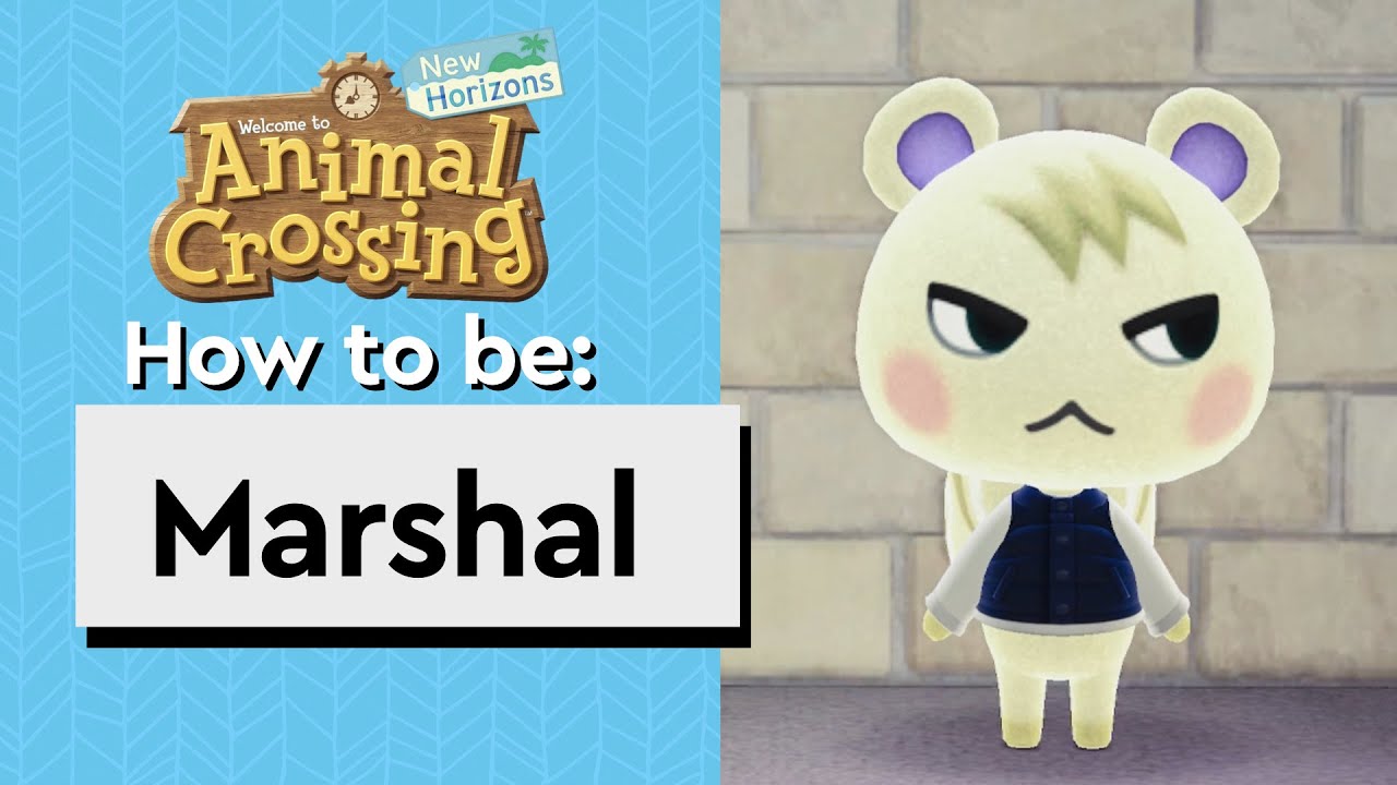 Marshal - Reactions, Gift guide, House & Bio | Animal Crossing - Smug Squirrel Villager