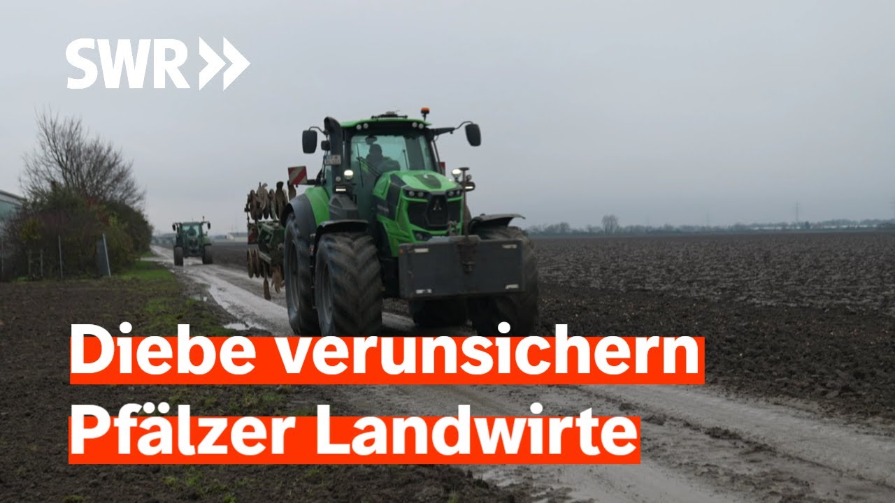 Tatort Bauernhof | Zur Sache Rheinland-Pfalz