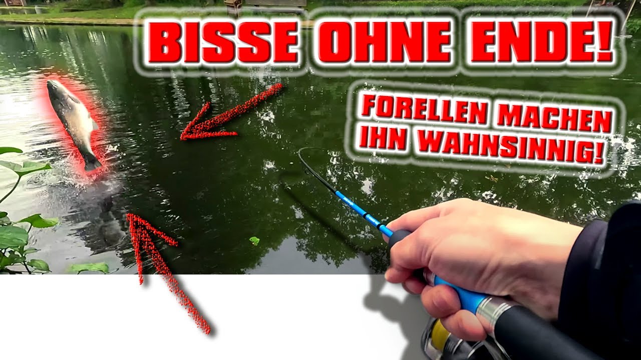 BISSE ohne ENDE! Was ist mit diesen Forellen los?! Forellenangeln | Forellenteich Angeln