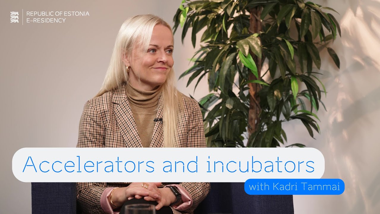 How to Benefit from Accelerators and Incubators: A Guide from Kadri Tammai