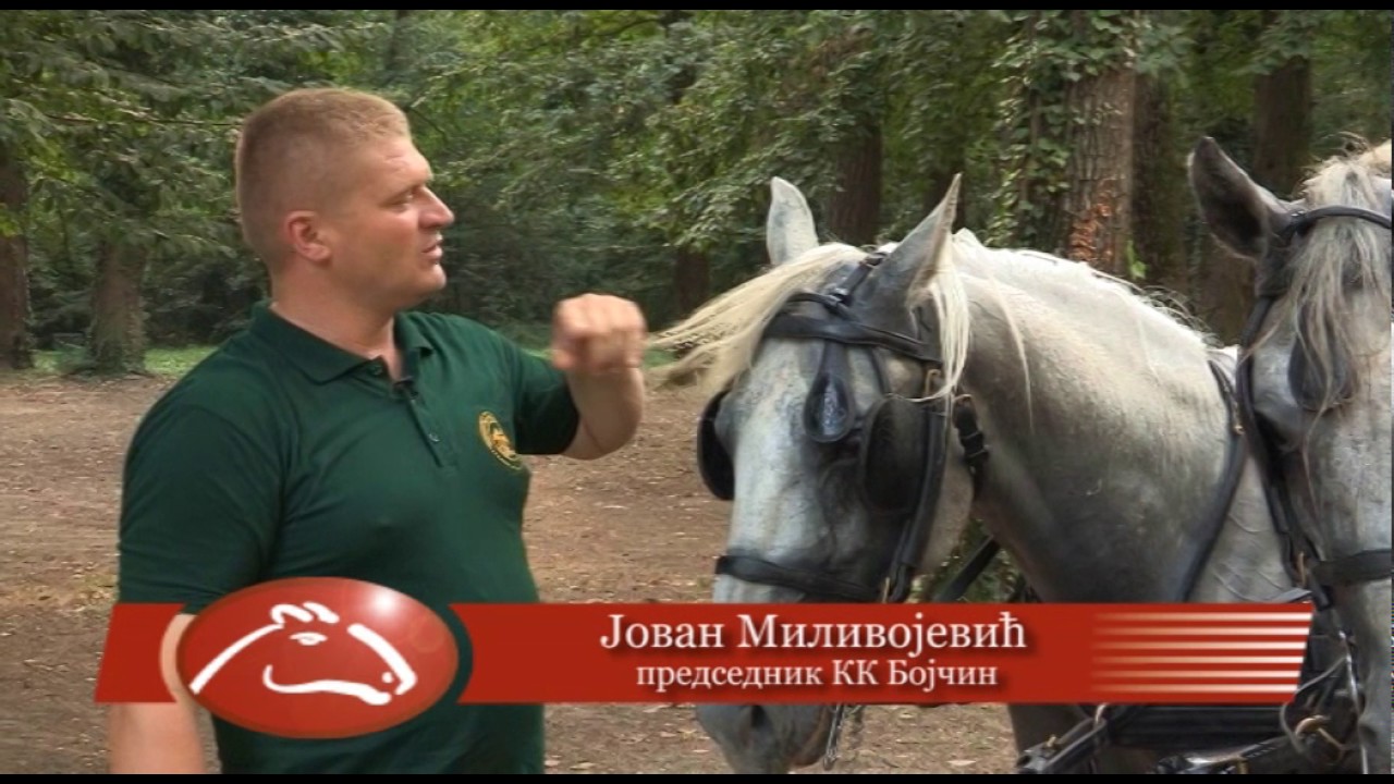 КК BOJČIN 2017 drugi deo