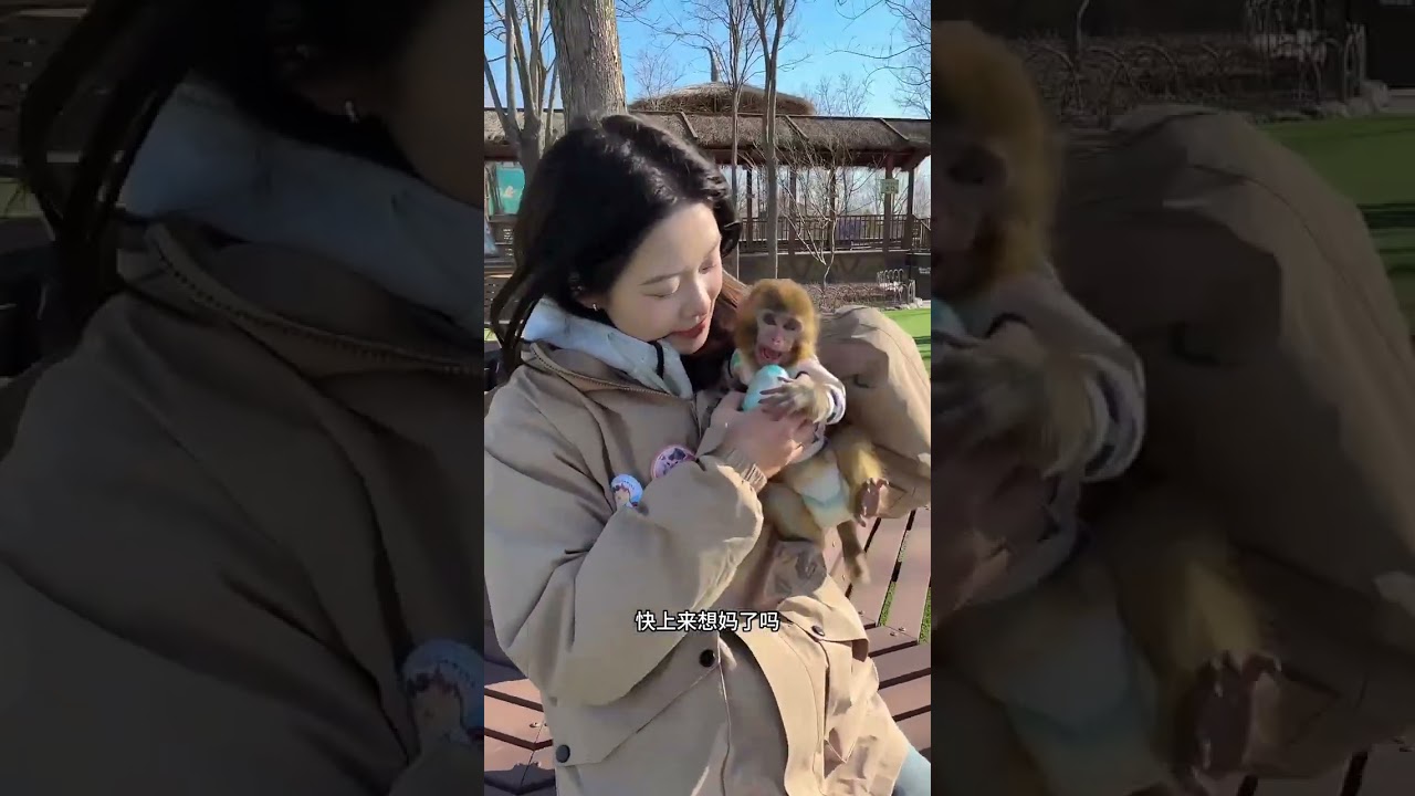 Cute Pet Monkey Runs for Milk 🥹🐒 | Pure Love Moment 