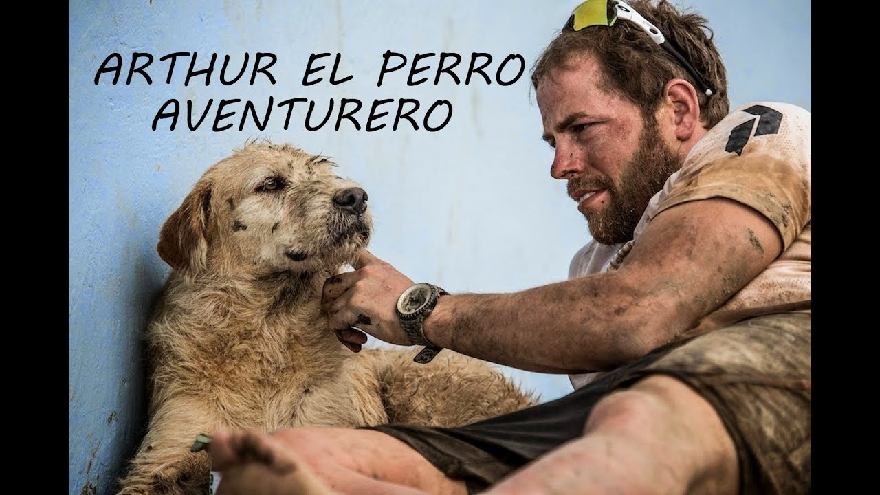 Arthur, el perro aventurero, una historia entrañable(HD)
