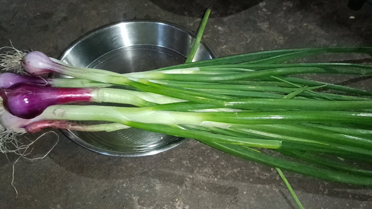 Makarsankranti special pkodi recipe 😋एकदम गर्म पकौड़ी 😋🤤❤🙏#makersankranti #foodpreparation #cooking 