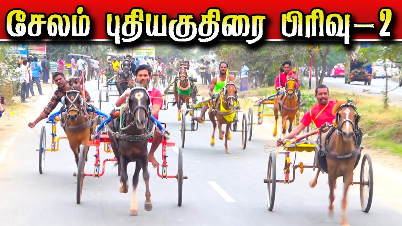 சேலம் புதிய குதிரை பிரிவு-2 25-01-2026 பந்தயம் Selam horse race#krish_studio_kattumavadi