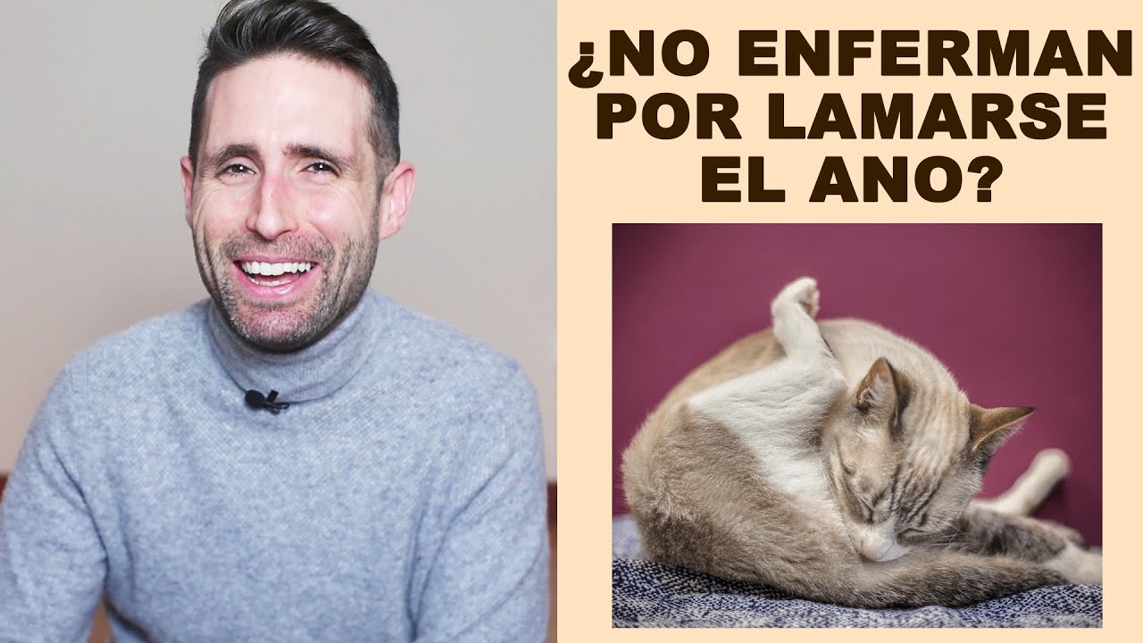 ¿Puede mi gato contagiarme enfermedades si me besa después de lamer su ano?
