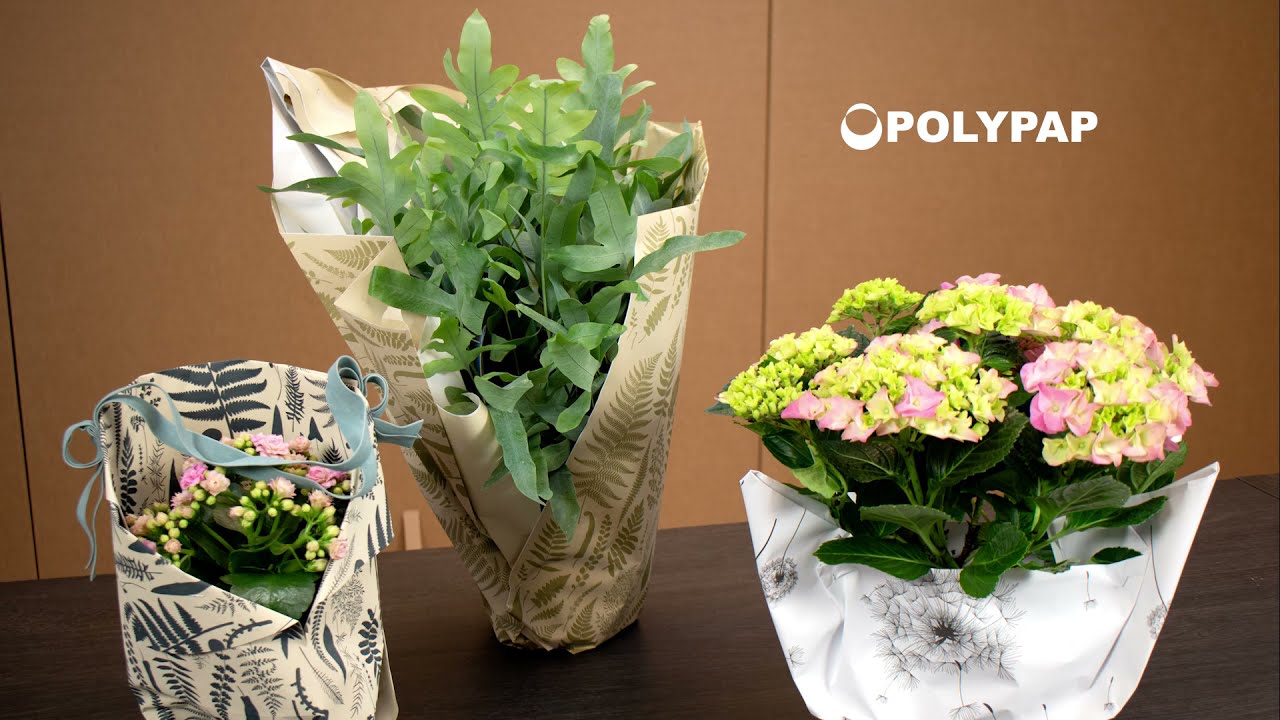 Tutos & Co : L'emballage décoratif pour plantes