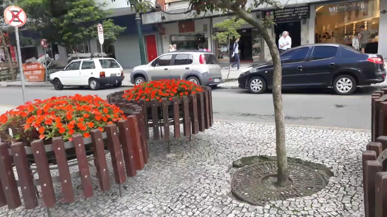Manhã em Curitiba