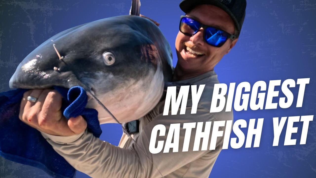 Massive Catfish Caught- PB Crushed!!