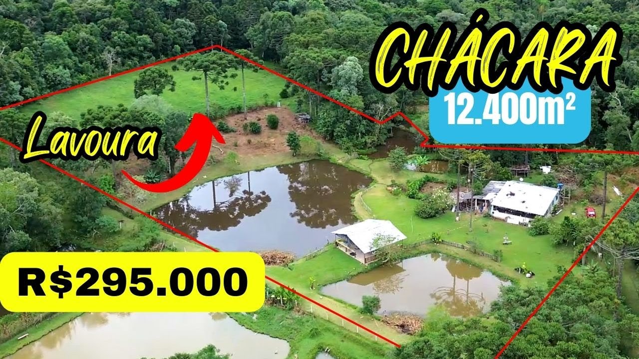 VENDIDO/ PRÓXIMO DE CURITIBA-PR | TANQUE DE PEIXE | ÁREA DE PLANTIO | 3KM DA CIDADE | POMAR