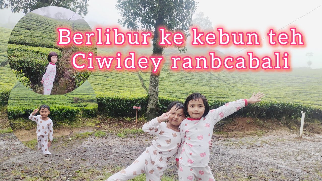 JALAN JALAN KE KEBUN TEH CIWIDEY RANCABALI BERKABUT AWAN DINGIN PART 2