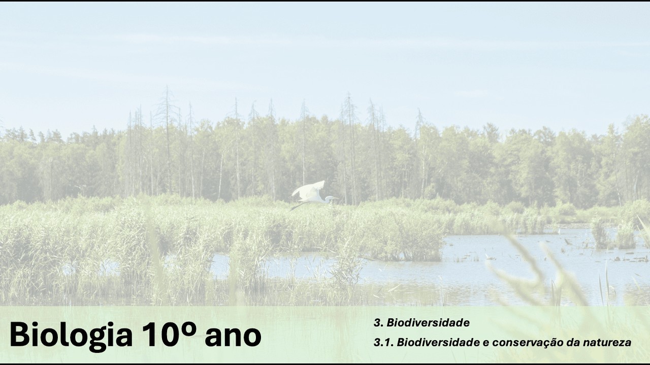 Biologia 10º | Aula 1 | Biodiversidade e conservação da natureza