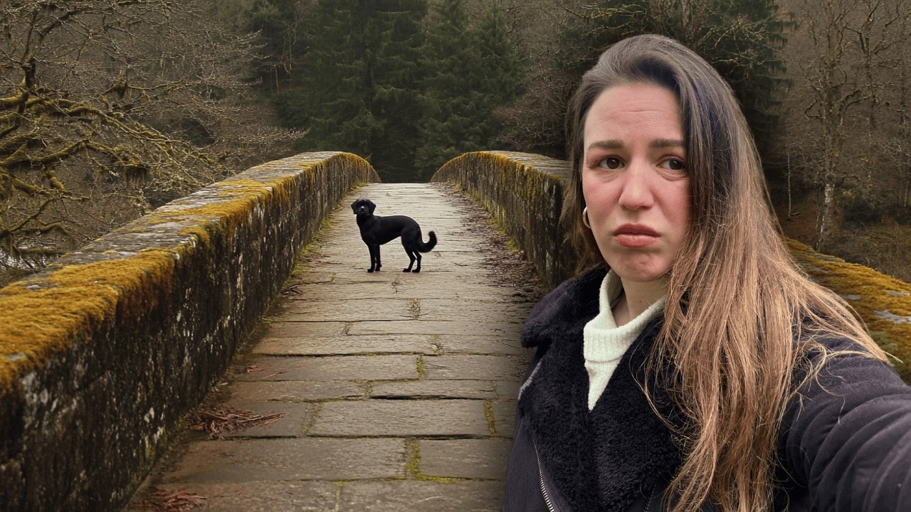 DO NOT COME HERE if you have a dog | Overtoun Bridge, Scotland