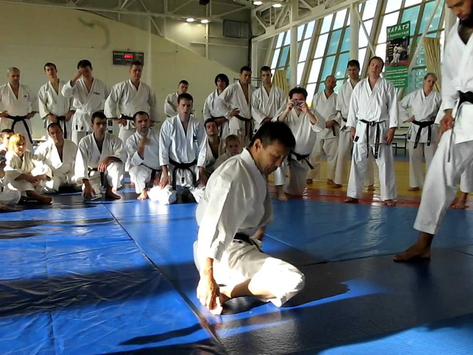 Yahara sensei keri waza