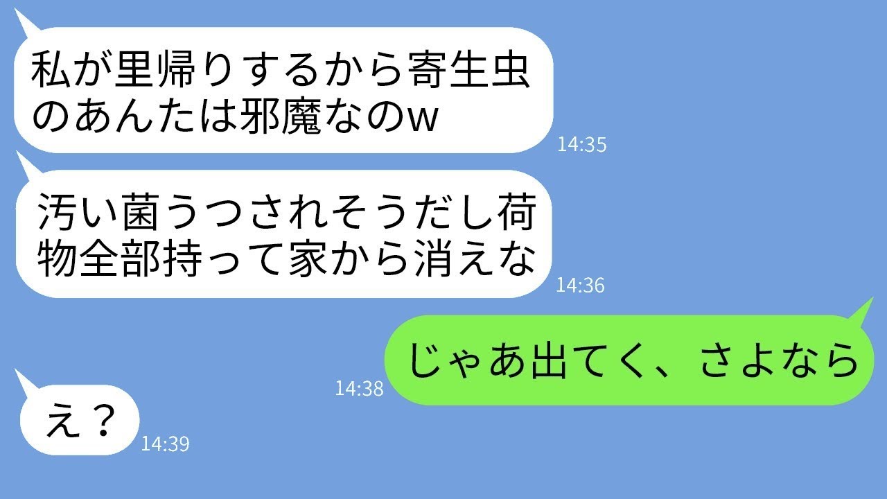 在宅で年間3000万円稼いでいる私を寄生虫扱いして、里帰り出産のために家から追い出そうとする義姉「ニートは出て行けw」→そのクズ女の言う通りに家を出た結果は…www