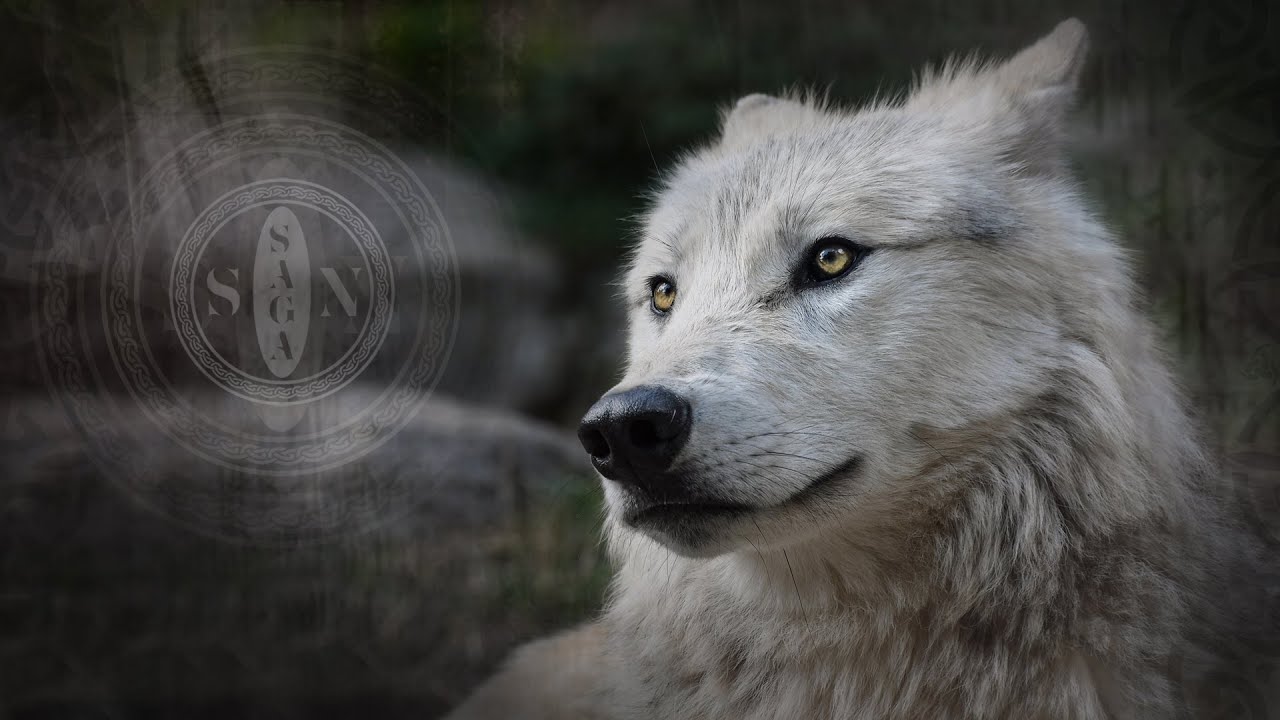 2 Hours of Nordic & Celtic Pagan Magic ⛤ Relaxing & Enchanting music by Sagason & friends