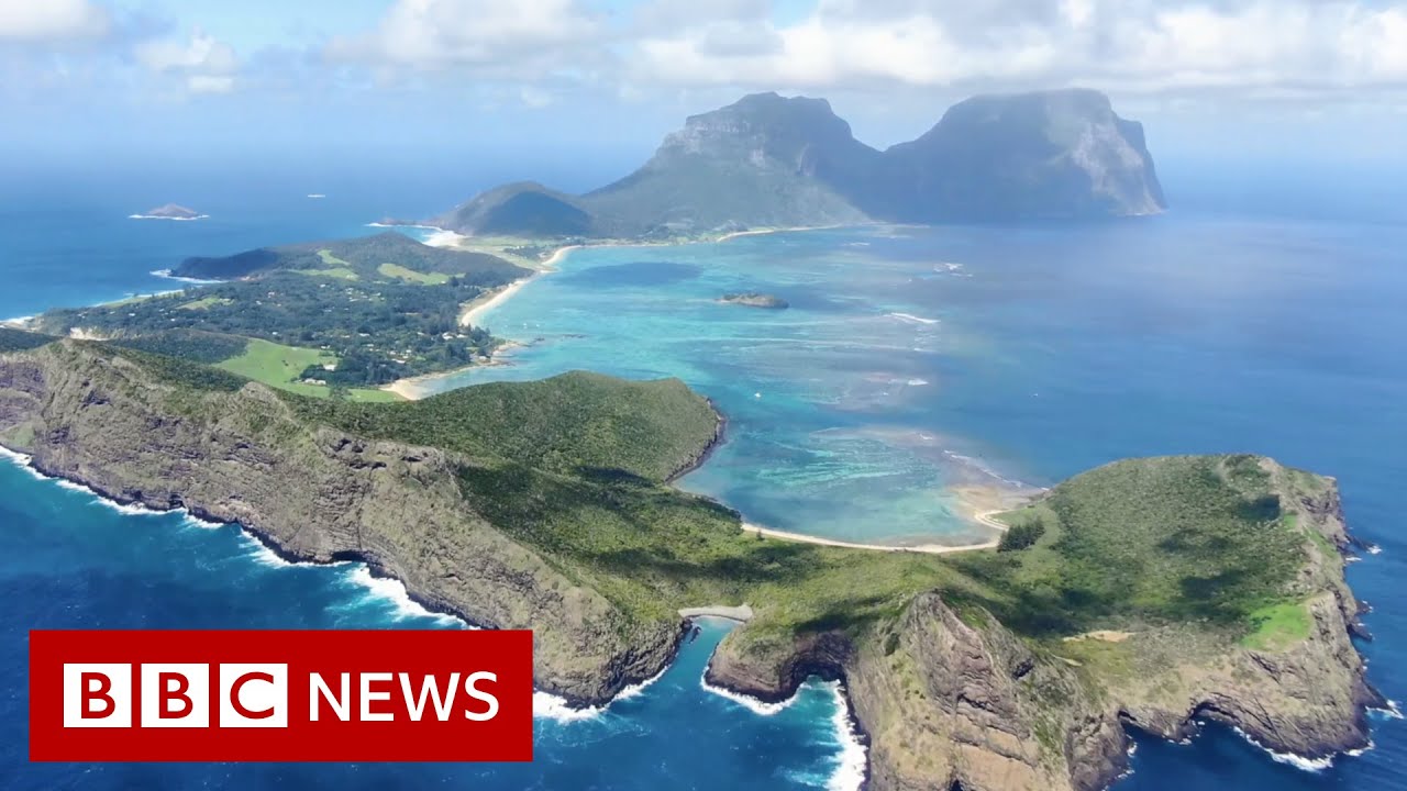 Saving an Australian paradise's 'cloud forest' - BBC News