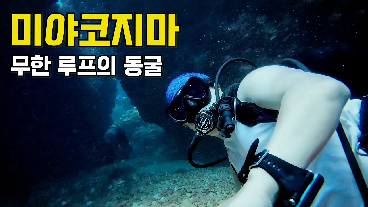 일본인만 있는 미야코지마에서 다이빙 하기 | 일본 미야코지마 - 스쿠버다이빙 (2)