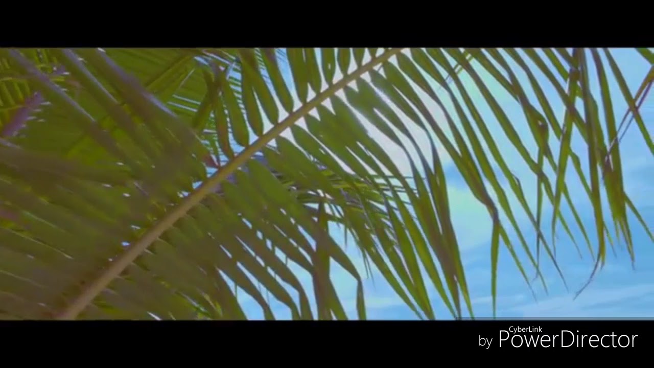 Jimin | Stereo love FMV