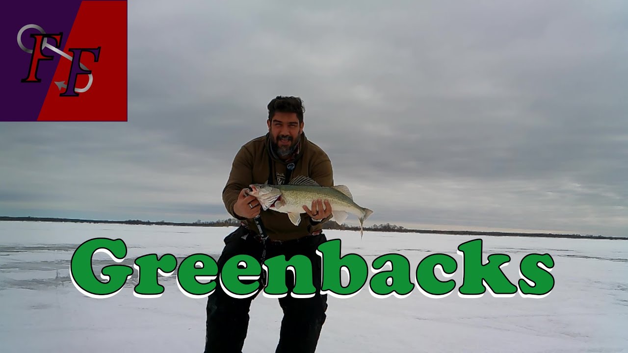 Greenbacks of Lake Winnipeg, ice fishing for big walleye