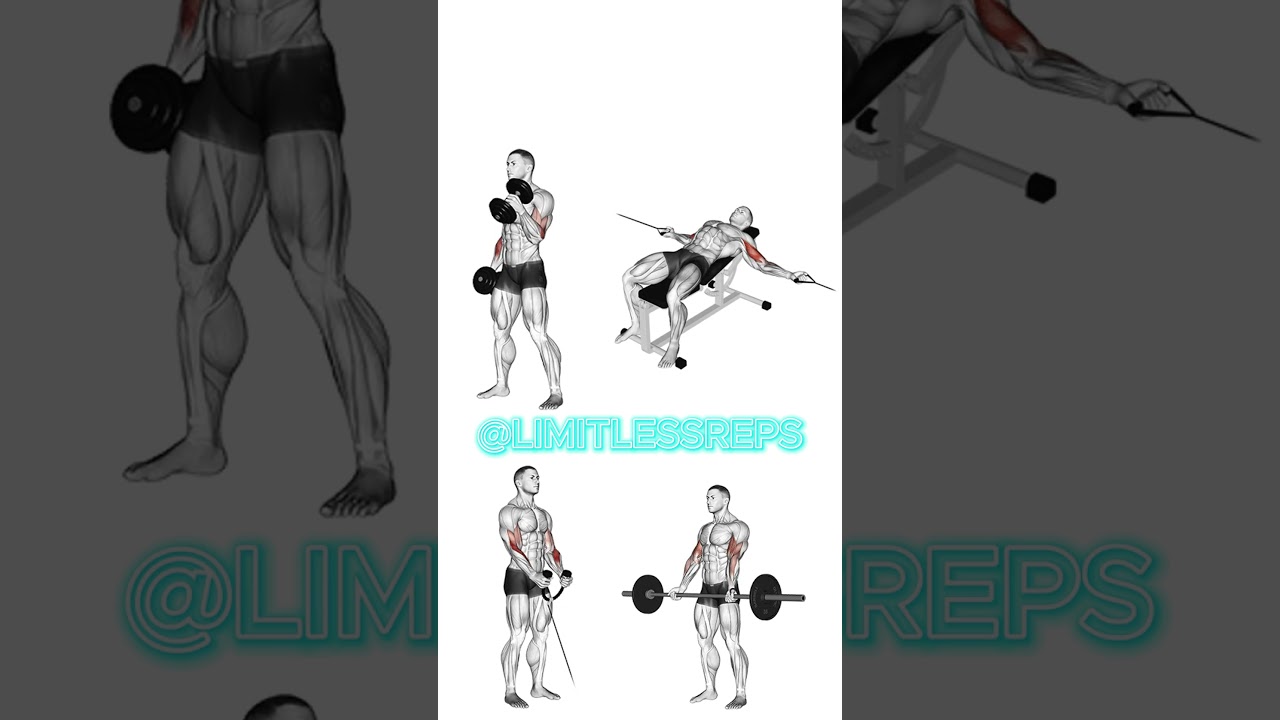 Big Arms, Clean Lines 💥 4 Bicep Moves for Serious Size