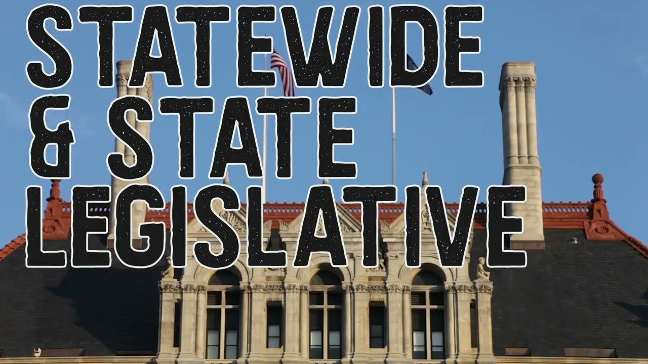 New York State Public Campaign Finance Program: Quick Introduction