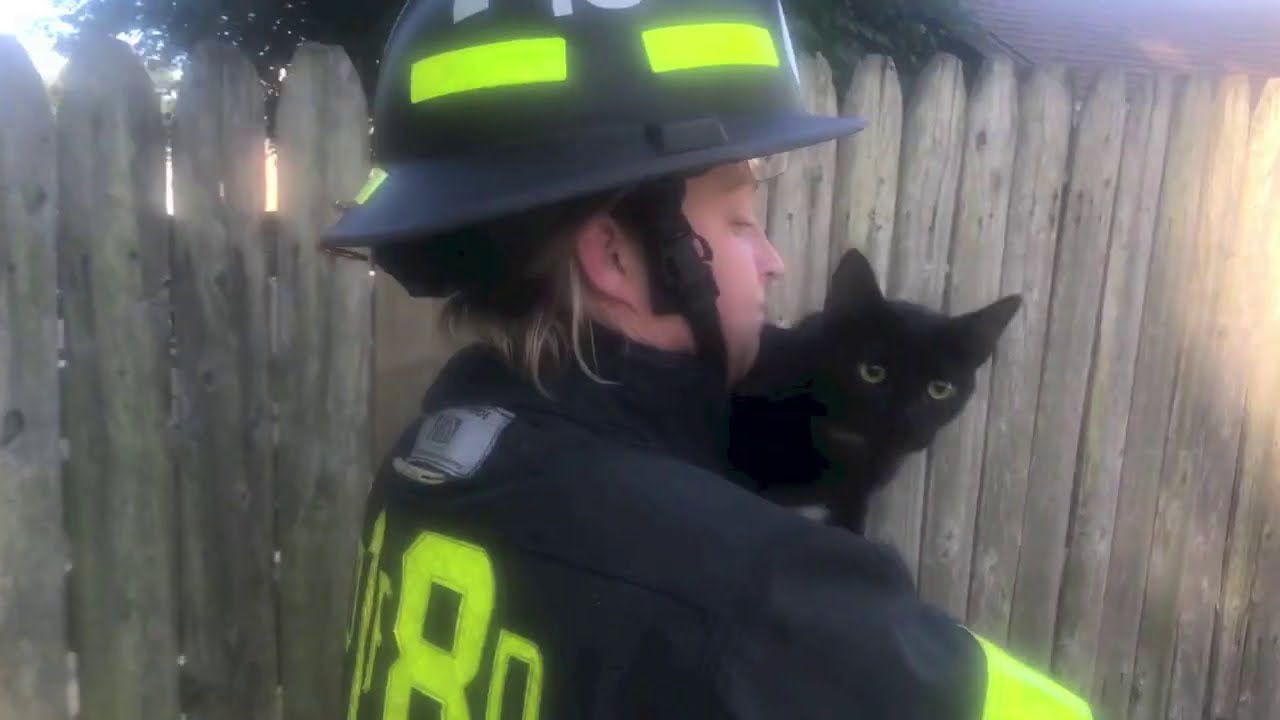 Cat Rescued from Tree in Oaklyn, NJ