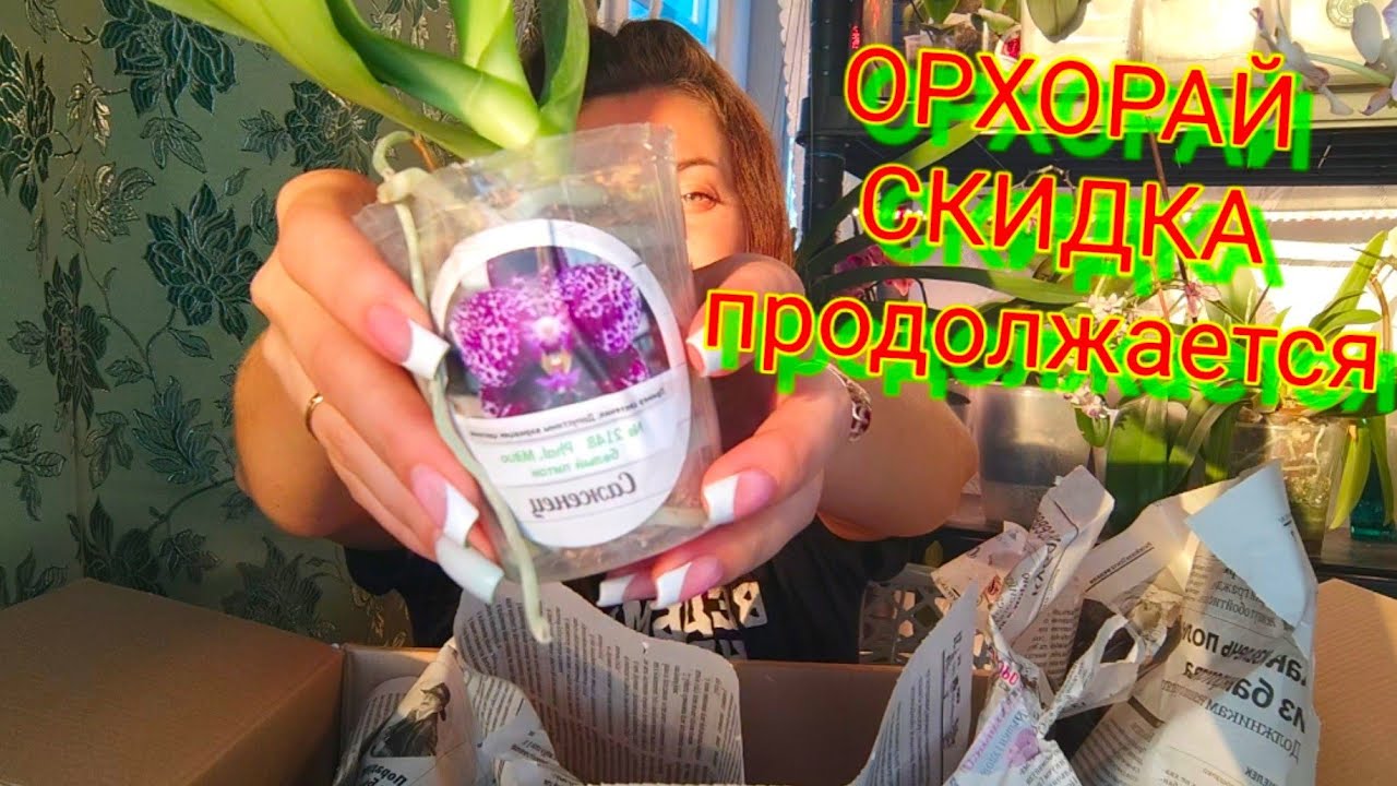 Самая ДОРОГАЯ орхидея из ПОСЫЛКИ @orhorai ХОЧЕТ ПИТЬ Срочно ПОЛИВ