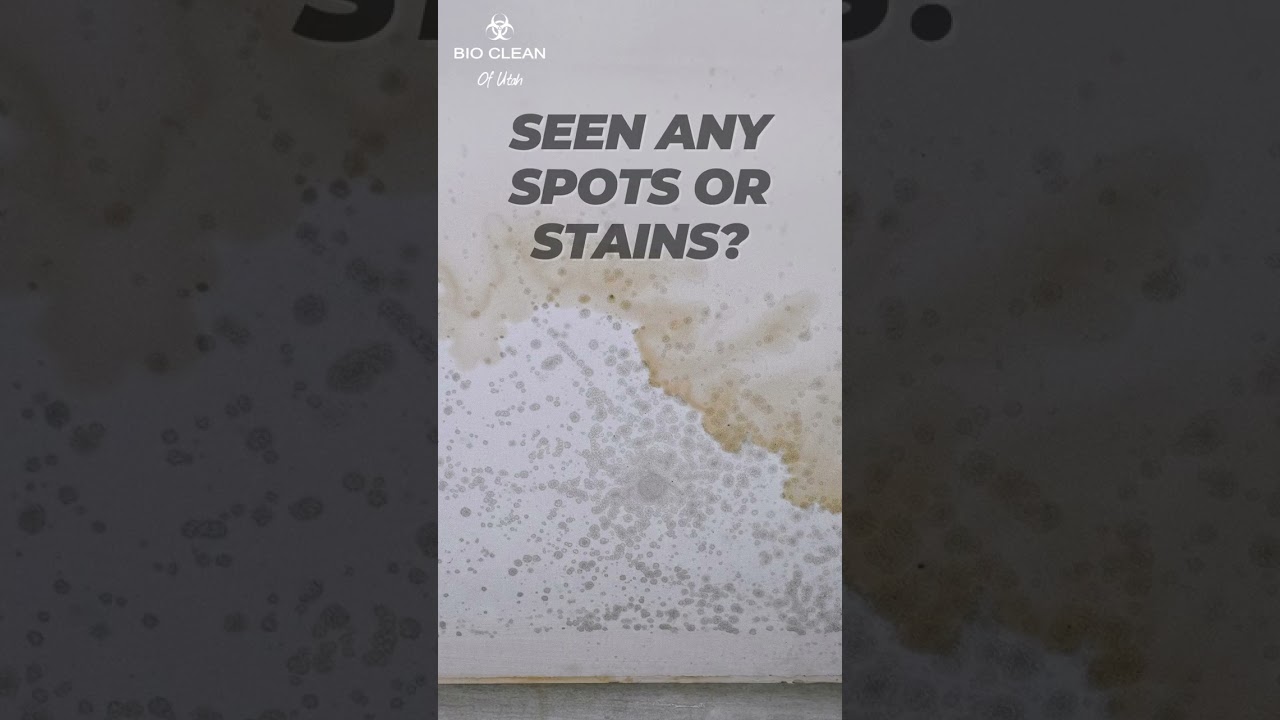 🌊 Unmask Hidden Water Damage &ndash; 5 Warning Signs You Need to Know! 🏠💧