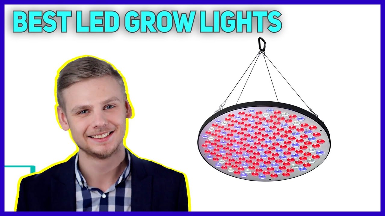 Top 3 Best Led Grow Lights 2022
