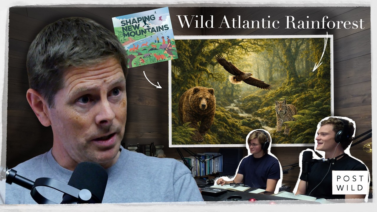 How to Bring Back Ireland’s Rainforest