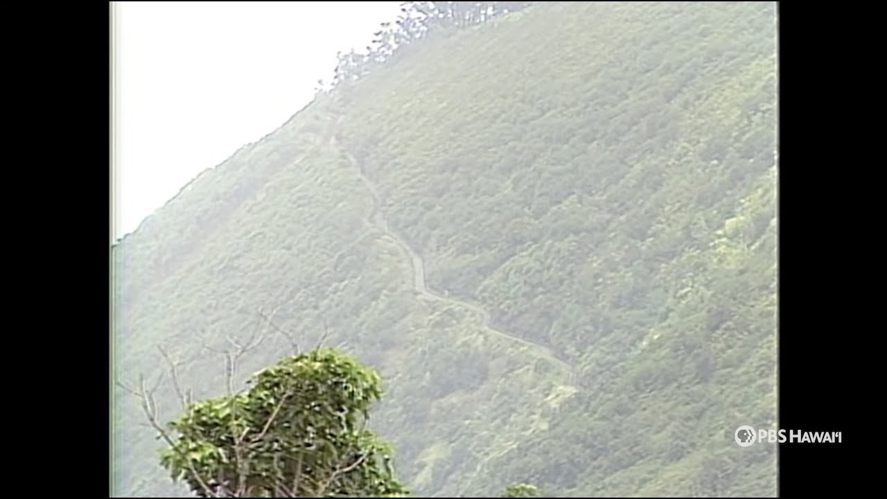 Hāmākua (1987) | PBS HAWAIʻI CLASSICS