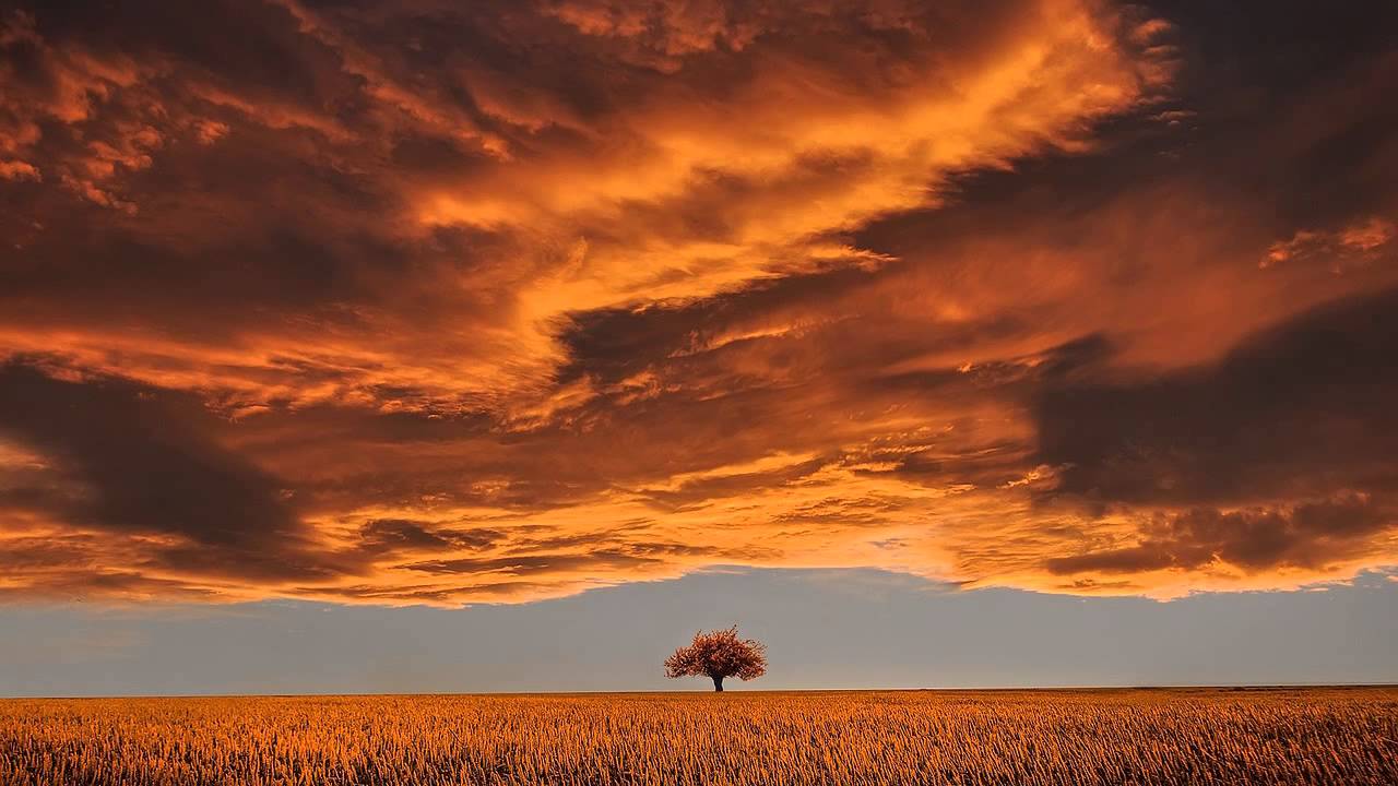 Open Solar Plexus Chakra | Meditation Music & Vibrations @ 320Hz