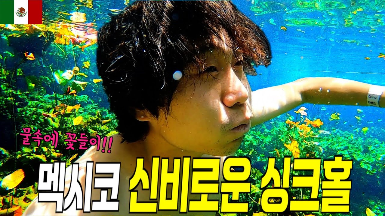 멕시코에서 가장 아름다운 싱크홀을 찾아 떠나는 여행, 툴룸 세노테 탐방기 - 멕시코[7]