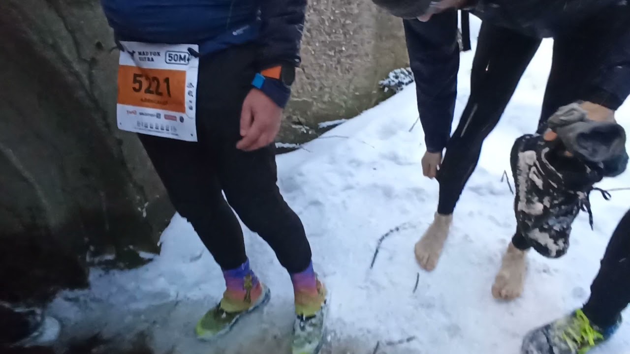 Mad Fox Ultra 2021