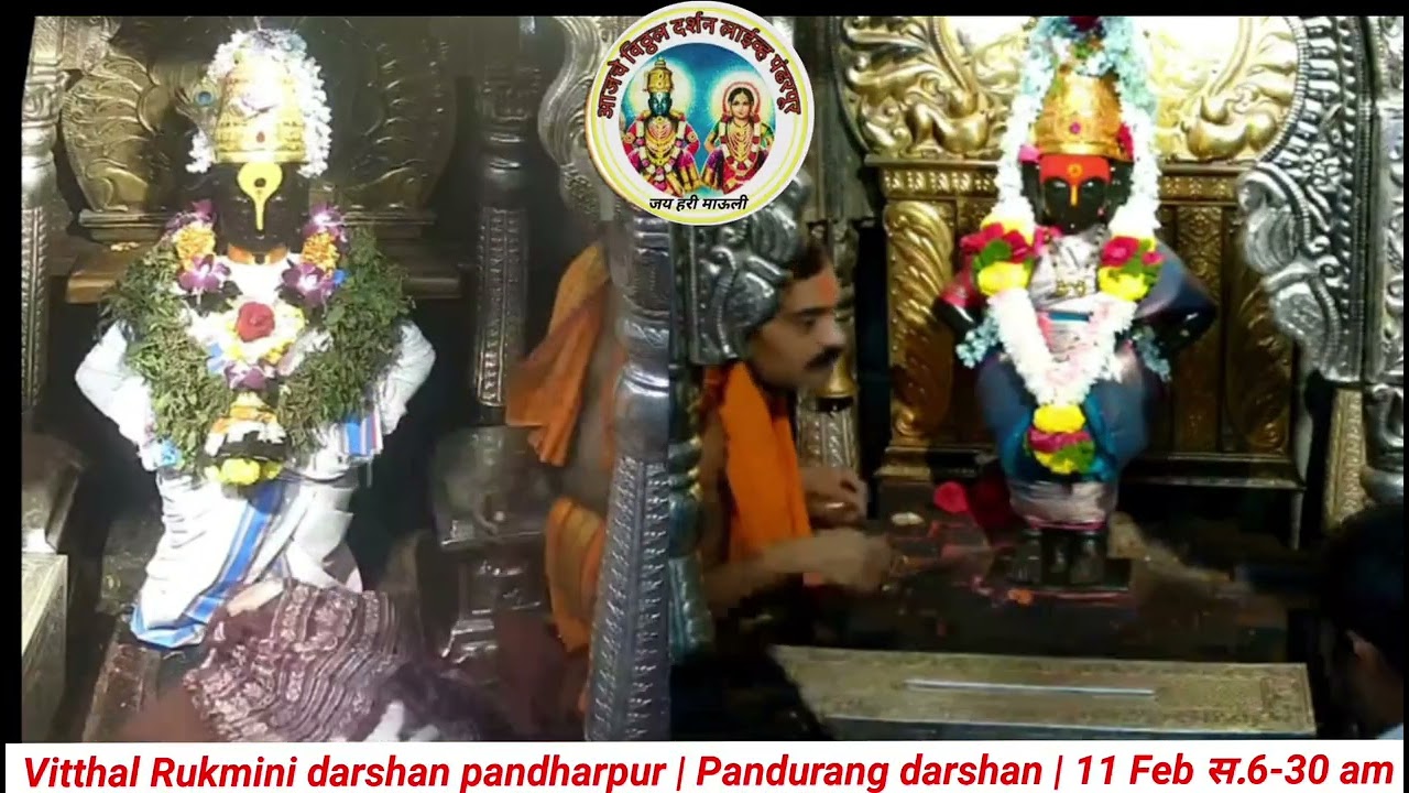 Vitthal Rukmini darshan pandharpur | Pandurang darshan | आजचे श्री विठ्ठल दर्शन| 11 Feb स.6-30 am