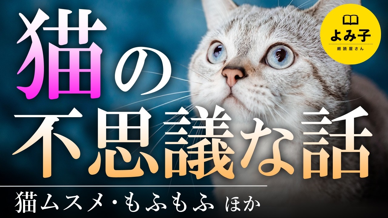 【朗読】猫にまつわる不思議な話詰め合わせ【女性朗読/睡眠/2ch】