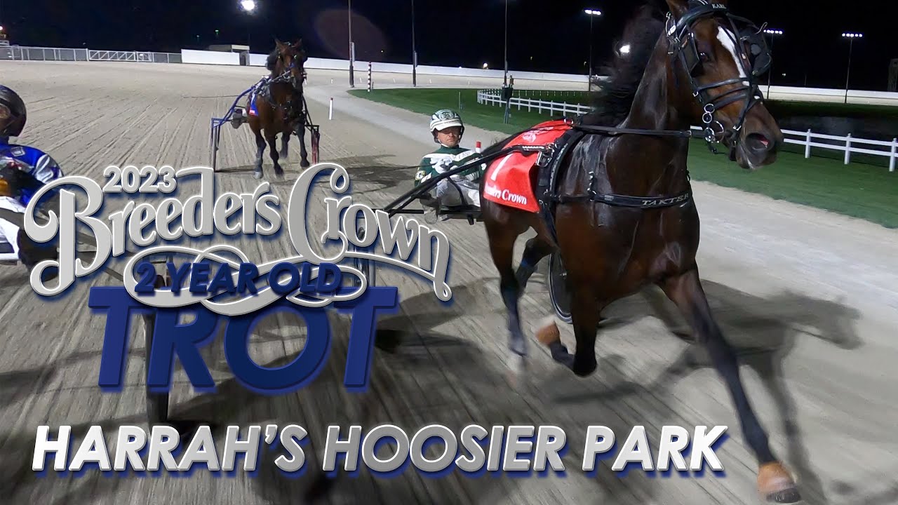 2023 Breeders Crown - Karl - 2CT