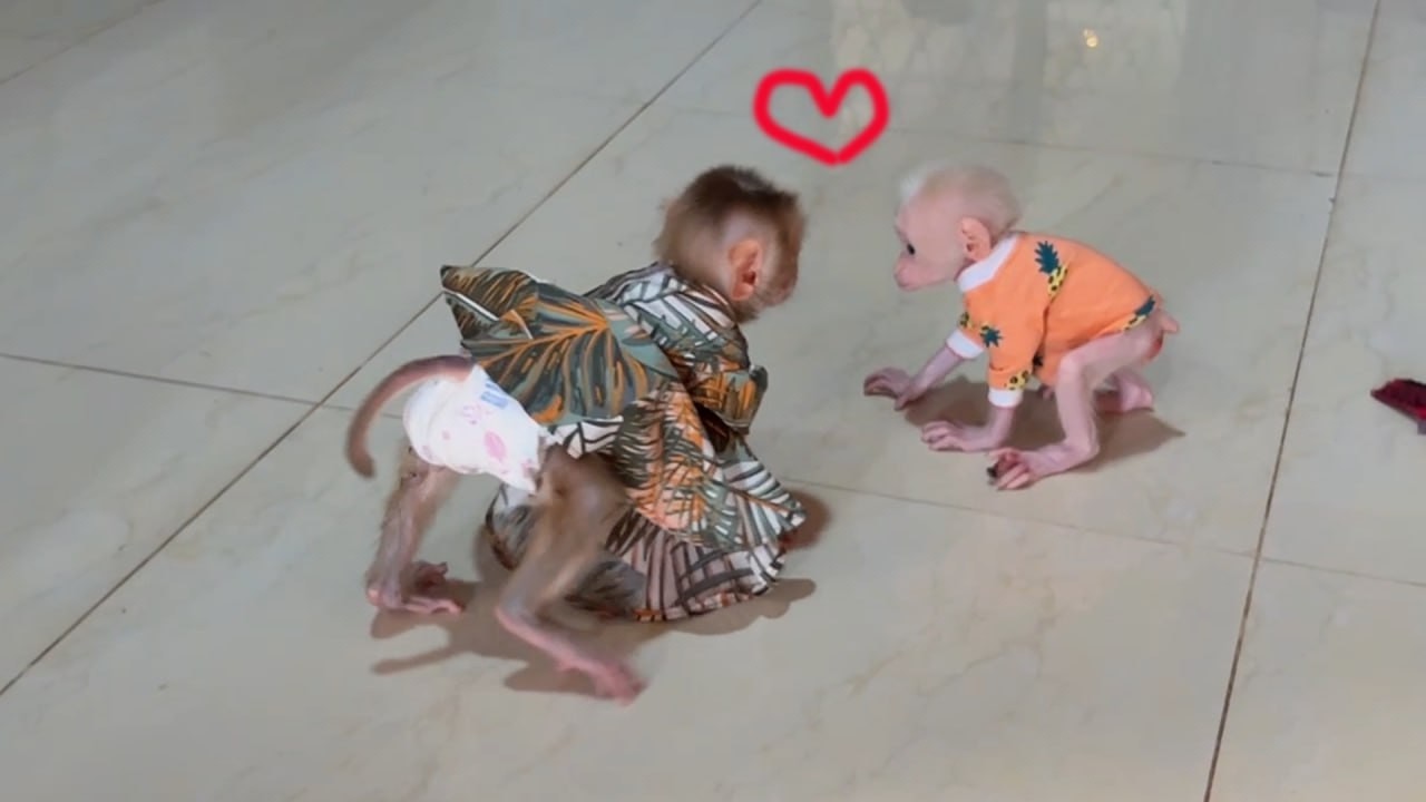 Sweet Baby Yuri Quickly Run To Say Hi And Hug Baby Minea When She Come In The House