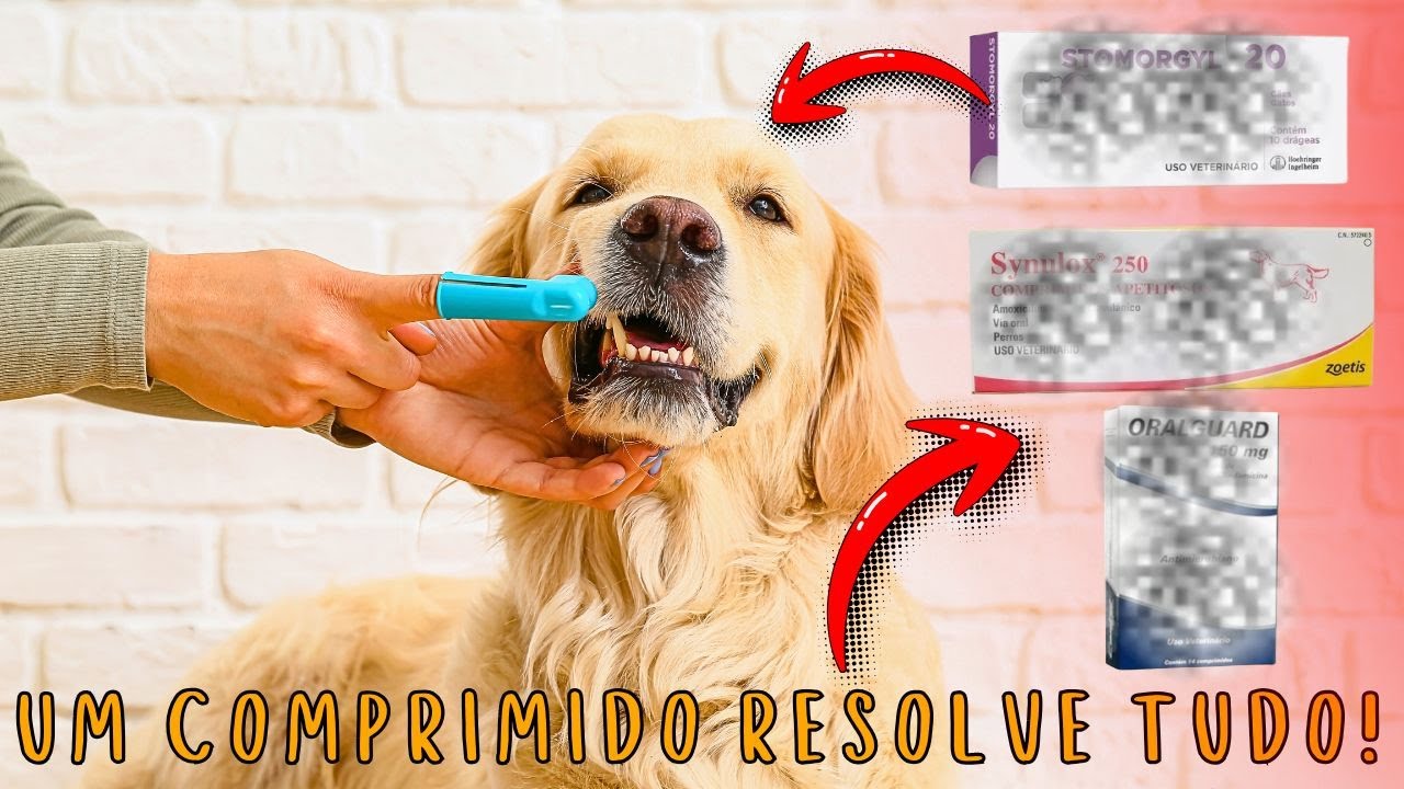 REMÉDIO COMPRIMIDO ELIMINA HÁLITO E TÁRTARO DO CACHORRO 