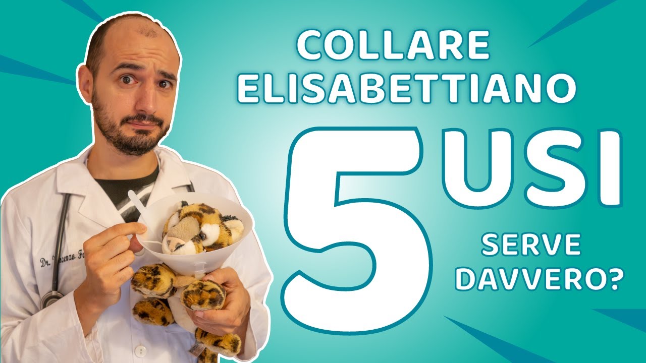 COLLARE ELISABETTIANO: 5 Utilizzi, curiosità e quando evitarlo.