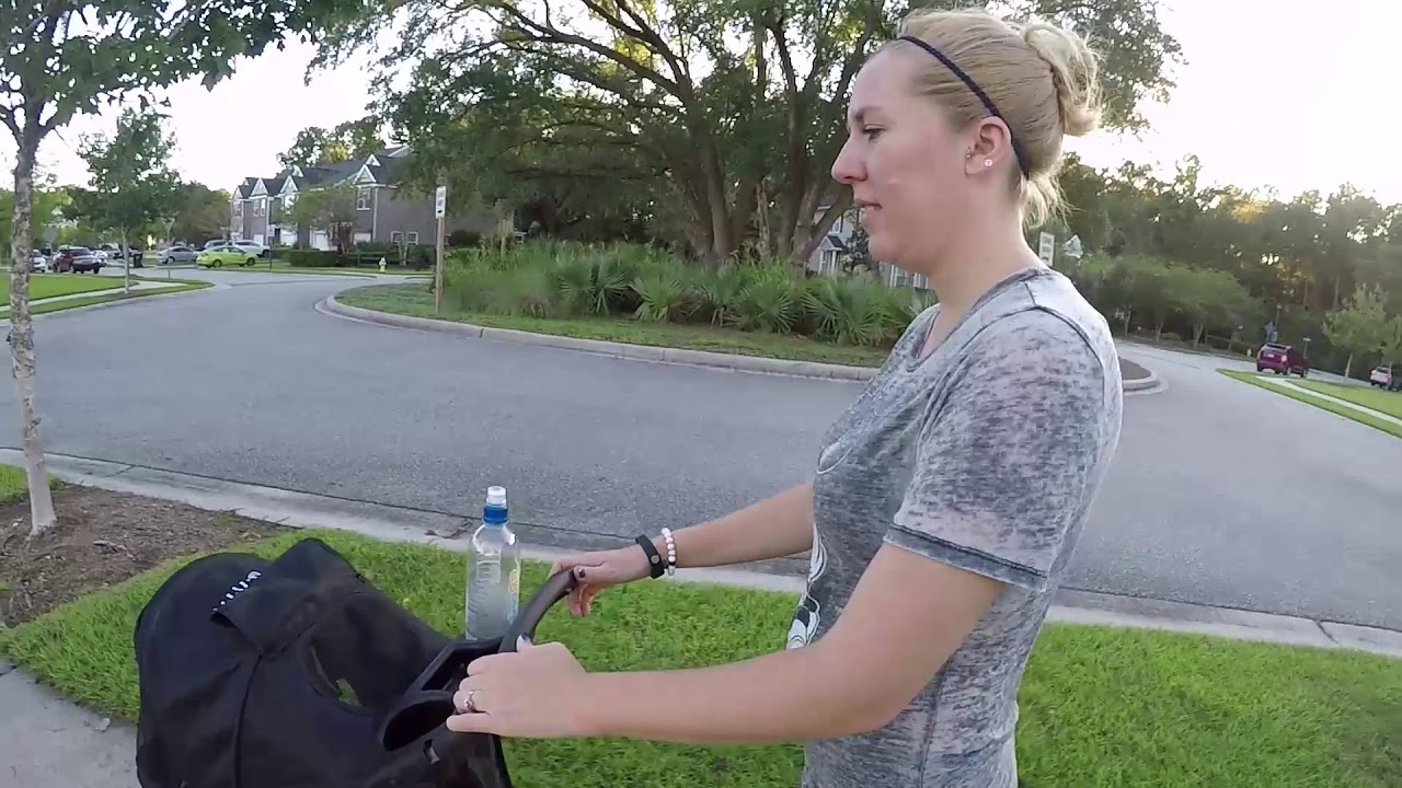 Vivo Dog Stroller unboxing Part 2 - A quick walk!
