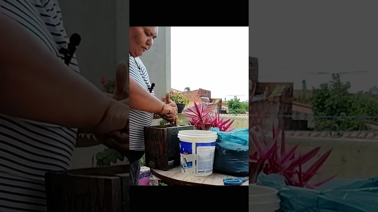 troca de vaso