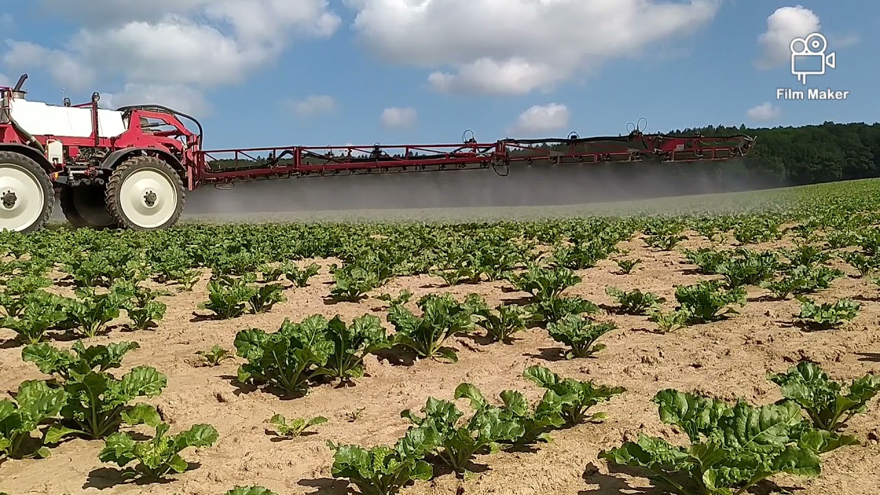 Agrifac ZA 3400 P / Oprysk buraka cukrowego 2021