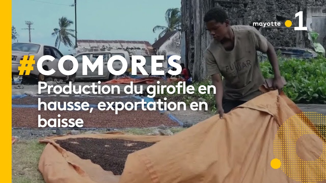 Comores : production du girofle en hausse, exportation en baisse