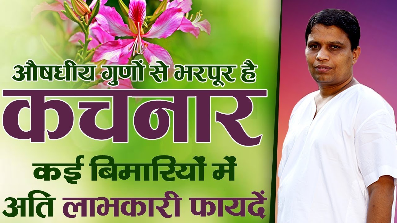 औषधीय गुणों से भरपूर है कचनार कई बिमारियों में अति लाभकारी फायदें | Acharya Balkrishna
