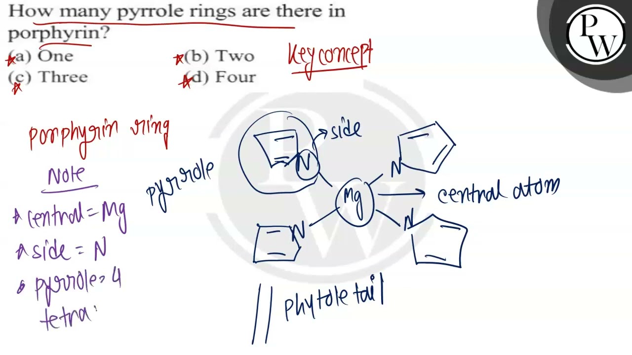 How many pyrrole rings are there in porphyrin? (a) One (b) Two (c) Three